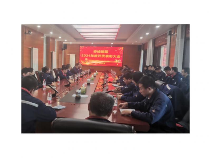 2024年度評(píng)優(yōu)表彰大會(huì)圓滿(mǎn)落幕